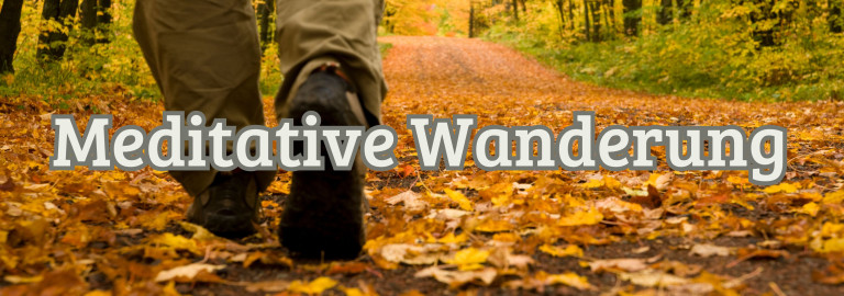 Wandernde Füße im Wald