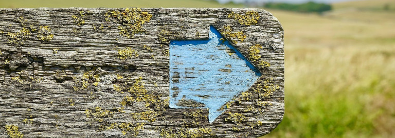 Ein blauer Pfeil auf einem Holzwegweiser zeigt die Richtung