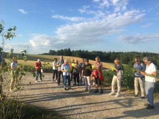 wanderung_von_kreuz_zu_kreuz.jpg
